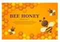 Honey label premium quality title. Paper cut style bee with honeycombs and Bee. Template design for beekeeping and honey product.